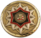 K9 Medal for Exceptional Service Handler War on Terror